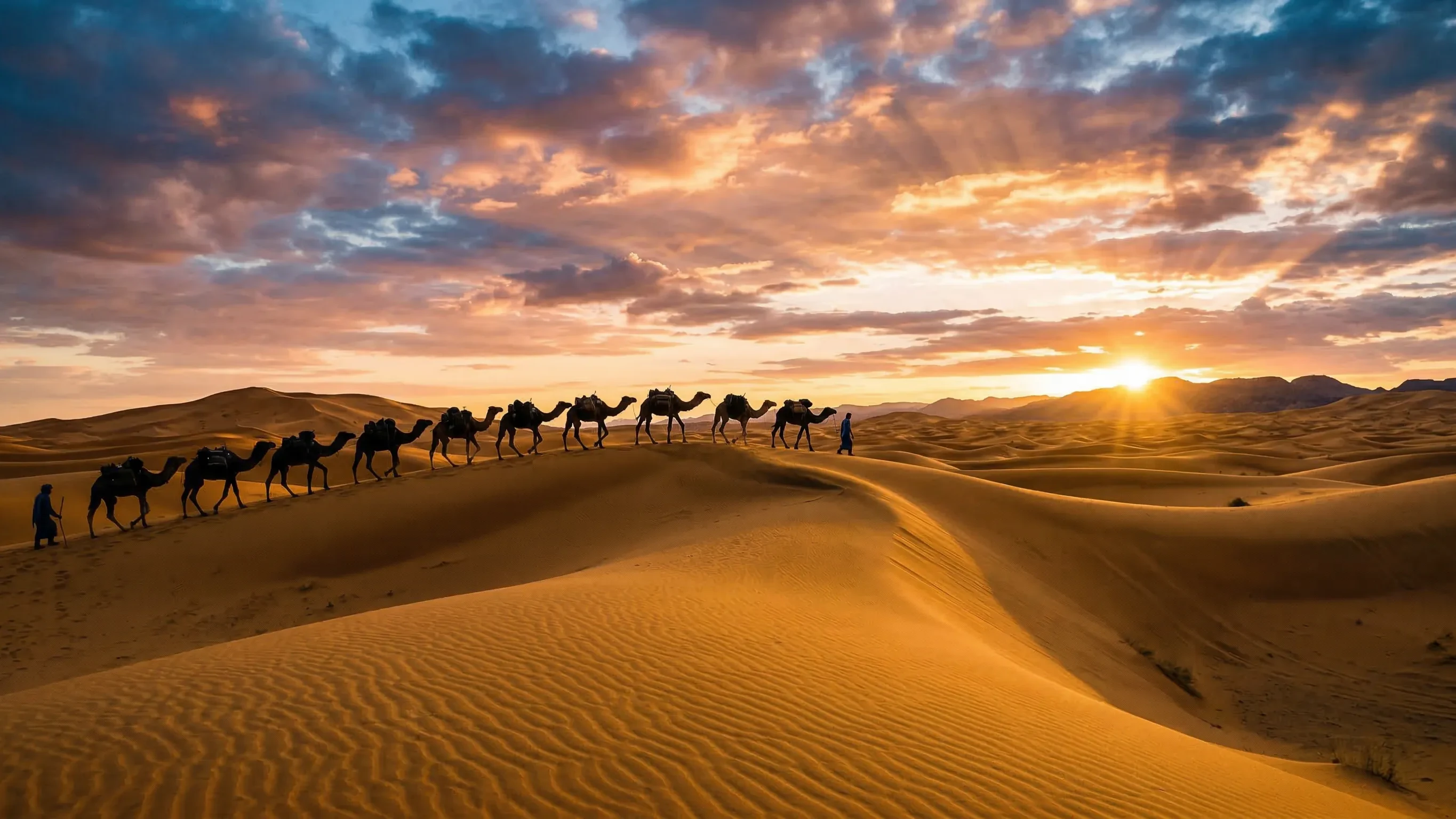 Golden Sahara desert landscape at sunset